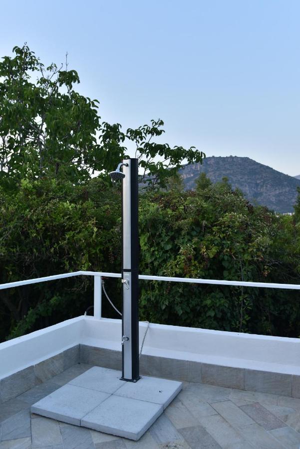 B&B Villa Gemini Sant'Agnello Εξωτερικό φωτογραφία
